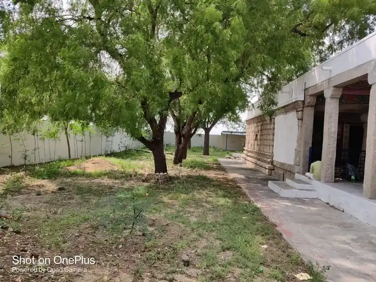 Arulmigu Sennakesava Perumal Temple, Chinnavadi - 626204 அருள்மிகு சென்னகேசவப்பெருமாள் திருக்கோயில், சின்னவாடி - 626204, Virudhunagar - Ancient Temple Architecture and History Image 8