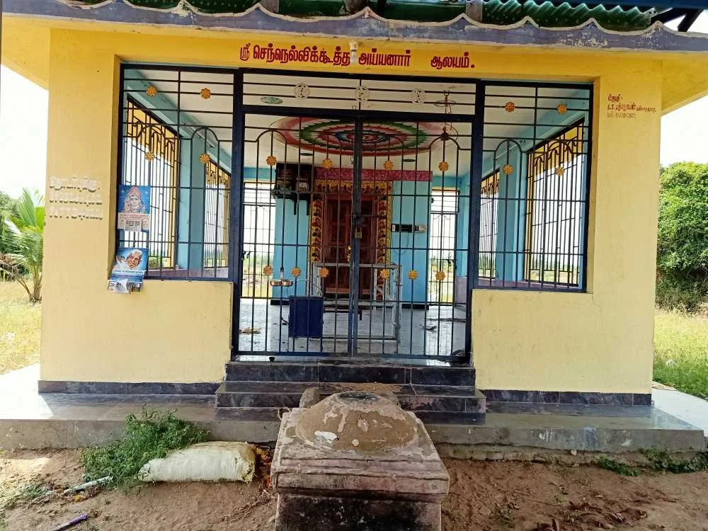 அருள்மிகு செந்நல்லிகூத்த அய்யனார் திருக்கோயில், Pallatthur - 614601 - Main View