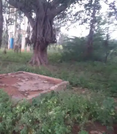 Arulmigu Sennampatti Kannimaar Temple, Alagupatti - 624709 Arulmigu Sennampatti Kannimaar Temple, Alagupatti - 624709, Dindigul - Ancient Temple Architecture and History Image 8