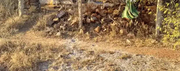 Arulmigu Sennampatti Kannimaar Temple, Alagupatti - 624709 Arulmigu Sennampatti Kannimaar Temple, Alagupatti - 624709, Dindigul - Ancient Temple Architecture and History Image 9