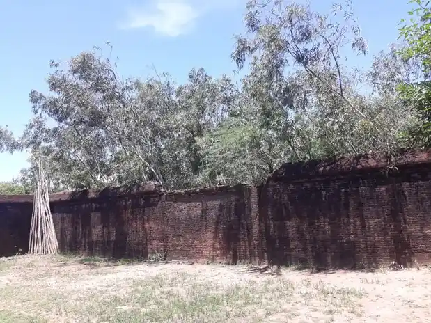 Arulmigu Senneeswarar Temple, Vanathirayanpatinam - 621804 அருள்மிகு சென்னீஸ்வரர் திருக்கோயில், Vanathirayanpatinam - 621804, Ariyalur - Ancient Temple Architecture and History Image 3