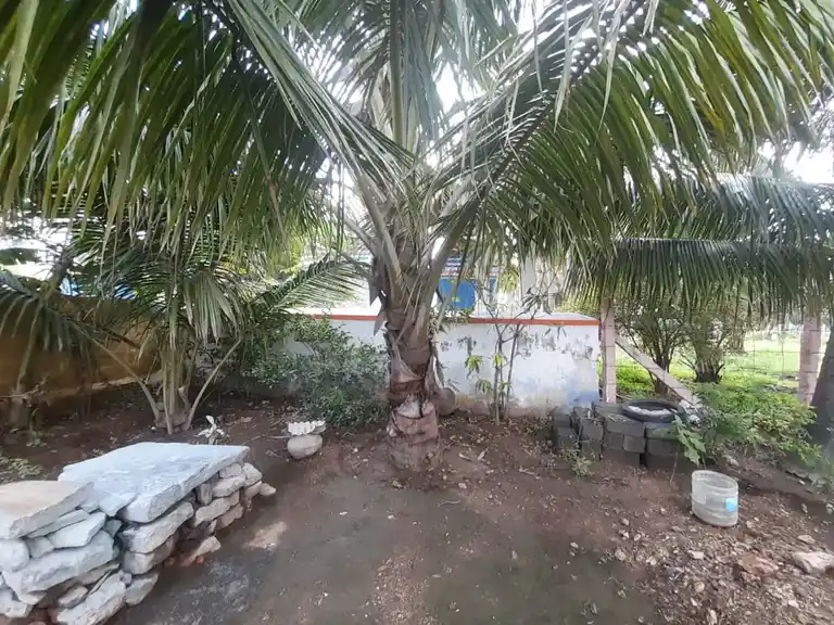 Arulmigu Senniyandavar Temple, Sengadurai - 641671 Arulmigu Senniyandavar Temple, Sengadurai - 641671, Coimbatore - Ancient Temple Architecture and History Image 4