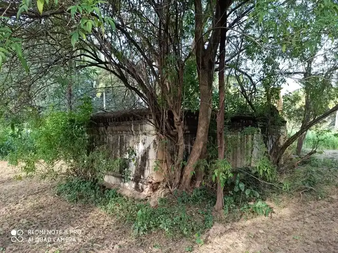 Arulmigu Senraya Swami Temple, Thattimanapalli - 632601 அருள்மிகு செண்றாயசாமி திருக்கோயில், தாட்டிமானபல்லி - 632601, Vellore - Ancient Temple Architecture and History Image 3