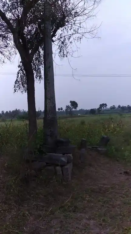 Arulmigu Senraya Swamy Temple, Puliampatti - 636811 Arulmigu Senraya Swamy Temple, Puliampatti - 636811, Dharmapuri - Ancient Temple Architecture and History Image 2