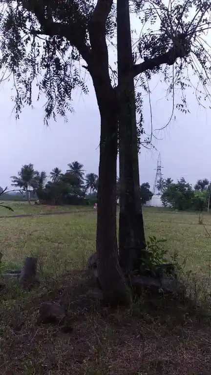 Arulmigu Senraya Swamy Temple, Puliampatti - 636811 Arulmigu Senraya Swamy Temple, Puliampatti - 636811, Dharmapuri - Ancient Temple Architecture and History Image 3