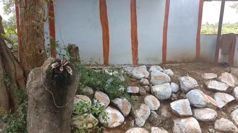 Arulmigu Senraya Swamy Temple, Thippireddihalli - 635301 Temple