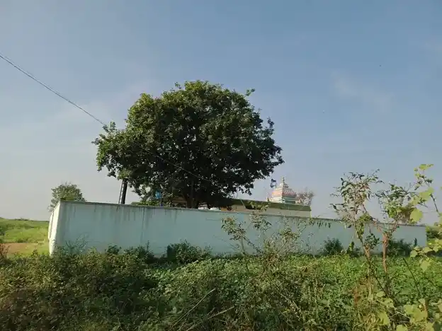 Arulmigu Senrayaperumal Temple, Aranganur - 636451