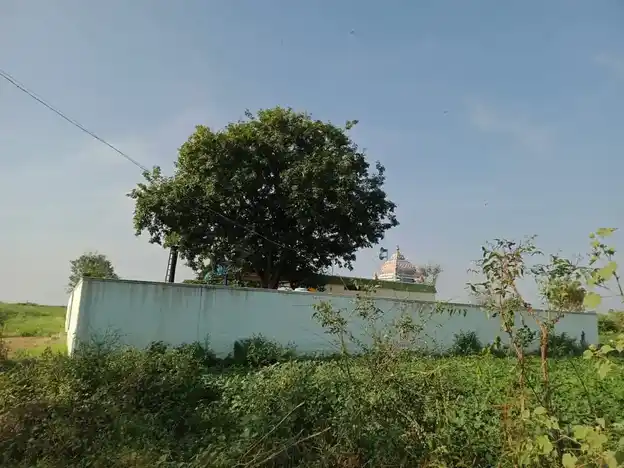 Arulmigu Senrayaperumal Temple, Aranganur - 636451 அருள்மிகு சென்றாய பெருமாள் சுவாமி திருக்கோயில், Aranganur - 636451, Salem - Ancient Temple Architecture and History Image 4