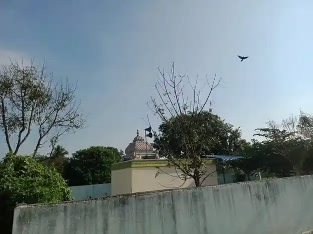 Arulmigu Senrayaperumal Temple, Aranganur - 636451 அருள்மிகு சென்றாய பெருமாள் சுவாமி திருக்கோயில், Aranganur - 636451, Salem - Ancient Temple Architecture and History Image 8