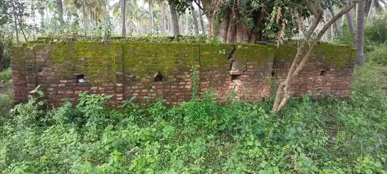 Arulmigu Senrayaswami Temple, Periya Kannalapatti - 635654 அருள்மிகு சென்றாயசுவாமி திருக்கோயில், பெரியகண்ணாலபட்டி - 635654, Thirupathur - Ancient Temple Architecture and History Image 3