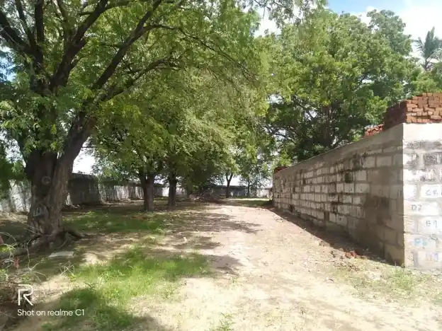 Arulmigu Sensadainathaswamy Temple, Thirumalkanthankottai - 623115