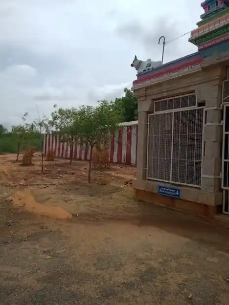 Arulmigu Sera, Solzha, Pandeeswara Temple, Thirukkalur - 628612