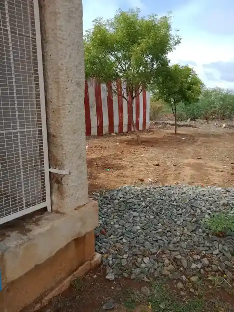 Arulmigu Sera, Solzha, Pandeeswara Temple, Thirukkalur - 628612 அருள்மிகு சேர சோழ பாண்டீஸ்வரர் திருக்கோயில், Thirukkalur - 628612, Thoothukudi - Ancient Temple Architecture and History Image 4