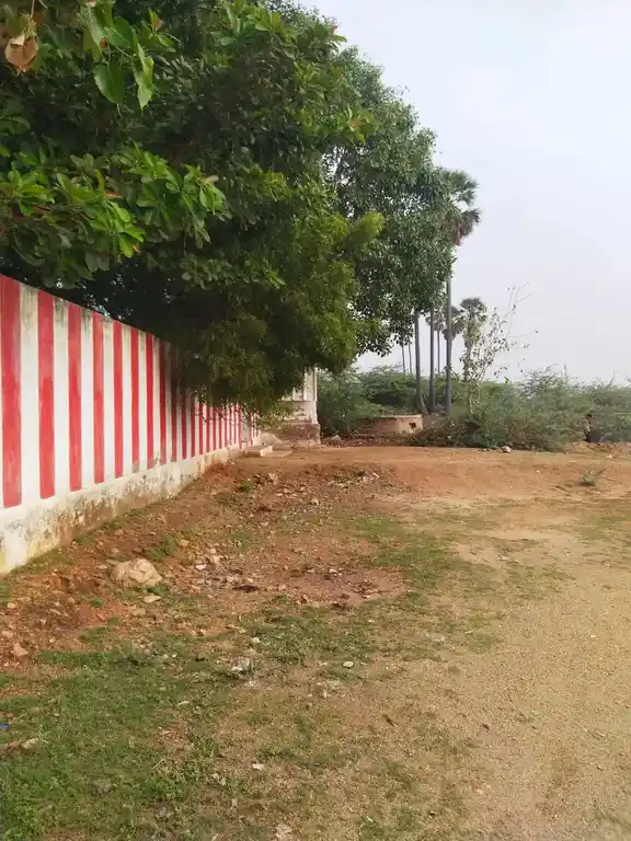 Arulmigu Sernthaiyan Sastha Temple, Sivakalai - 628253 அருள்மிகு சேர்ந்தய்யன் சாஸ்தா திருக்கோயில், சிவகளை - 628253, Thoothukudi - Ancient Temple Architecture and History Image 5