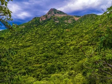 அருள்மிகு சேர்வராயசுவாமி திருக்கோயில், Wireless Station Near, மஞ்சக்குட்டை - 636601 - Main View