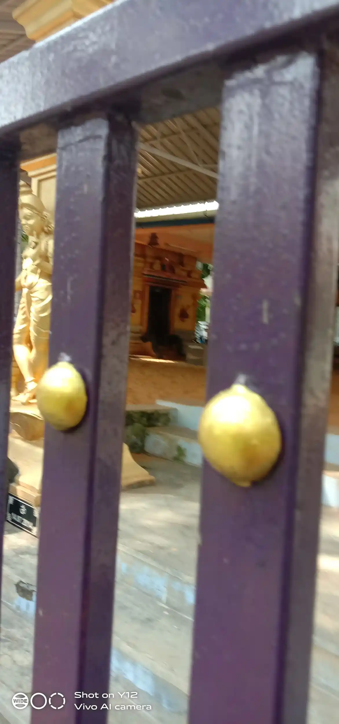 Arulmigu Sethukuzhi Pottal Sastha Temple, Sethukuzhipottal - 629501 அருள்மிகு சேத்துக்குழி பொட்டல் சாஸ்தா திருக்கோயில், Sethukuzhipottal - 629501, Kanyakumari - Ancient Temple Architecture and History Image 3