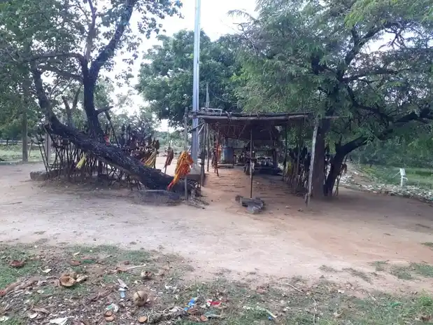 Arulmigu Sethuvinayagar Temple, Kummangudi, Thirumayam Taluk - 622201
