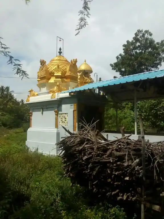 Arulmigu Sethyvinagagar Temple, Advangudi - 612604