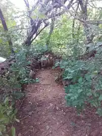 Arulmigu Settaikkaran Temple, Eetchempatti - 622002 அருள்மிகு சேட்டைக்காரன் திருக்கோயில், Eetchempatti - 622002, Pudukkottai - Ancient Temple Architecture and History Image 2