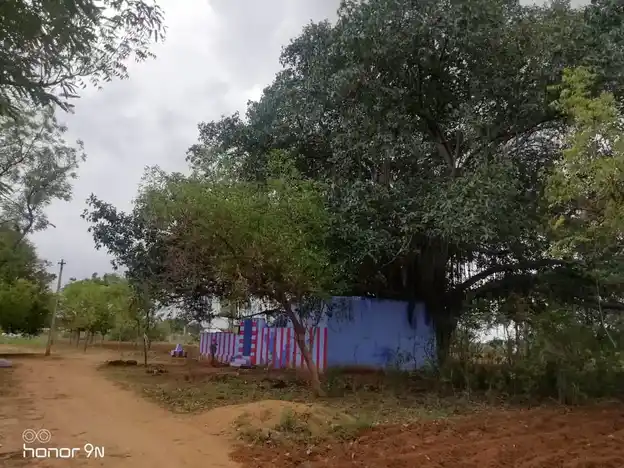 Arulmigu Sevugaduraisamy Temple, Out Side Of The Village, Vadanatham Patti - 627862 அருள்மிகு சேவுகதுரைசாமி திருக்கோயில், Out Side Of The Village, Vadanatham Patti - 627862, Tenkasi - Ancient Temple Architecture and History Image 3