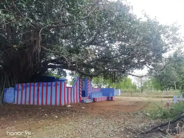 Arulmigu Sevugaduraisamy Temple, Out Side Of The Village, Vadanatham Patti - 627862 அருள்மிகு சேவுகதுரைசாமி திருக்கோயில், Out Side Of The Village, Vadanatham Patti - 627862, Tenkasi - Ancient Temple Architecture and History Image 4