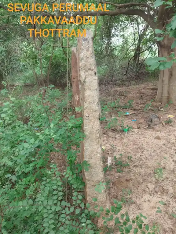 Arulmigu Sevugapperumal Temple, Peyaal - 622102 அருள்மிகு சேவுகப்பெருமாள் திருக்கோயில், Peyaal - 622102, Pudukkottai - Ancient Temple Architecture and History Image 2