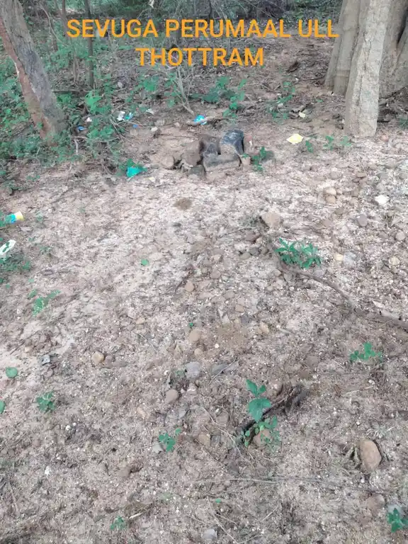 Arulmigu Sevugapperumal Temple, Peyaal - 622102 அருள்மிகு சேவுகப்பெருமாள் திருக்கோயில், Peyaal - 622102, Pudukkottai - Ancient Temple Architecture and History Image 3