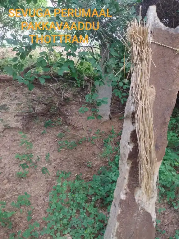 Arulmigu Sevugapperumal Temple, Peyaal - 622102 அருள்மிகு சேவுகப்பெருமாள் திருக்கோயில், Peyaal - 622102, Pudukkottai - Ancient Temple Architecture and History Image 4