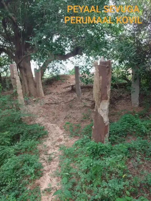 Arulmigu Sevugapperumal Temple, Peyaal - 622102 அருள்மிகு சேவுகப்பெருமாள் திருக்கோயில், Peyaal - 622102, Pudukkottai - Ancient Temple Architecture and History Image 5
