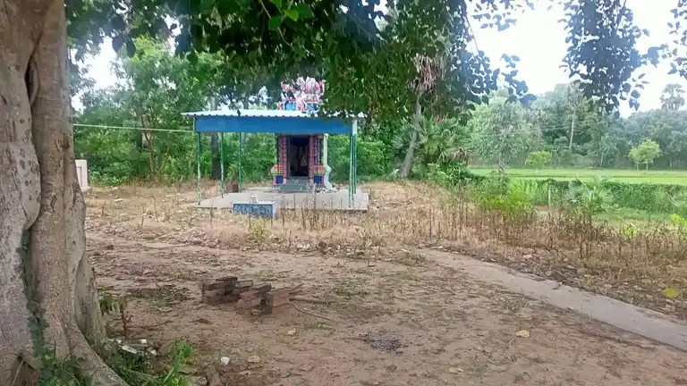 Arulmigu Sevukaraayynar Temple, Vedayapuram - 613703 அருள்மிகு சேவுகராயஅய்யனார் திருக்கோயில், Vedayapuram - 613703, Thiruvarur - Ancient Temple Architecture and History Image 5