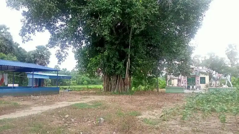 Arulmigu Sevukaraayynar Temple, Vedayapuram - 613703 அருள்மிகு சேவுகராயஅய்யனார் திருக்கோயில், Vedayapuram - 613703, Thiruvarur - Ancient Temple Architecture and History Image 6