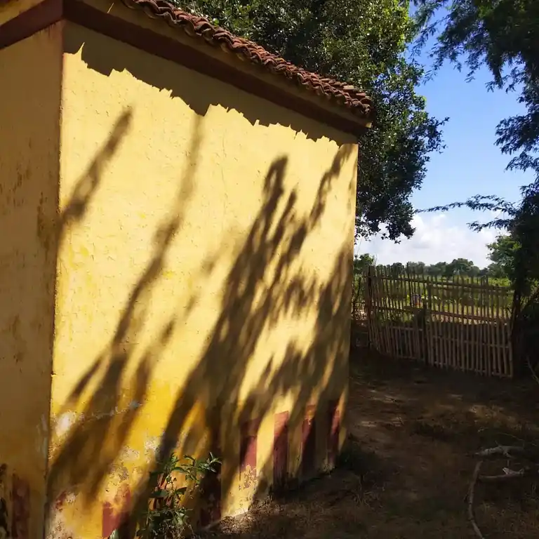 Arulmigu Sevukaraya Ayyanar Temple, Perungudi - 612801 அருள்மிகு சேகராய அய்யனார் திருக்கோயில், Perungudi - 612801, Thiruvarur - Ancient Temple Architecture and History Image 3