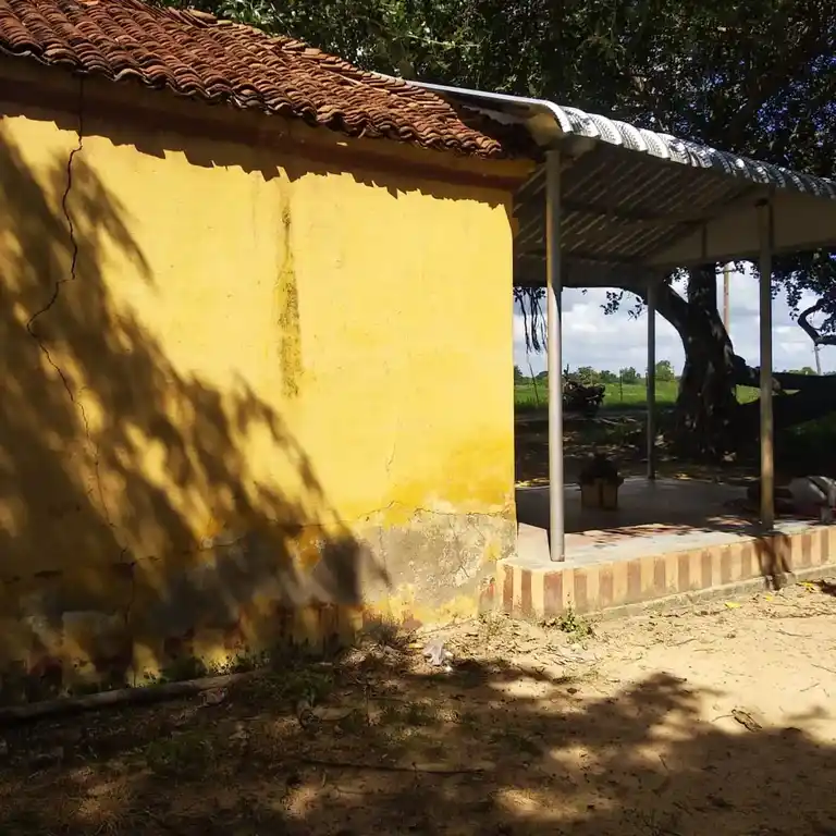 Arulmigu Sevukaraya Ayyanar Temple, Perungudi - 612801 அருள்மிகு சேகராய அய்யனார் திருக்கோயில், Perungudi - 612801, Thiruvarur - Ancient Temple Architecture and History Image 4