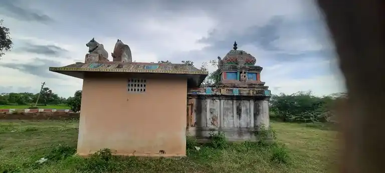 Arulmigu Sevuraya Iyyanar Temple, Vadakal - 610001 அருள்மிகு சேவுராயஅய்யனார் திருக்கோயில், Vadakal - 610001, Thiruvarur - Ancient Temple Architecture and History Image 2