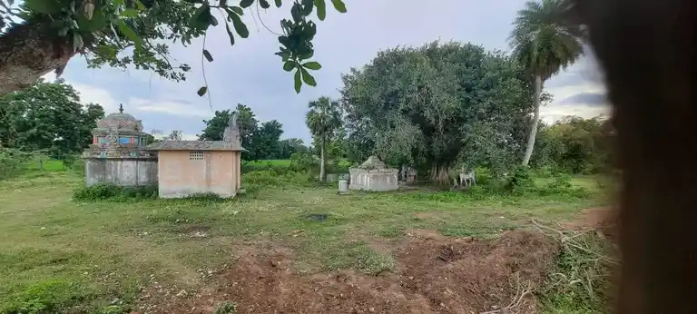 Arulmigu Sevuraya Iyyanar Temple, Vadakal - 610001 அருள்மிகு சேவுராயஅய்யனார் திருக்கோயில், Vadakal - 610001, Thiruvarur - Ancient Temple Architecture and History Image 5