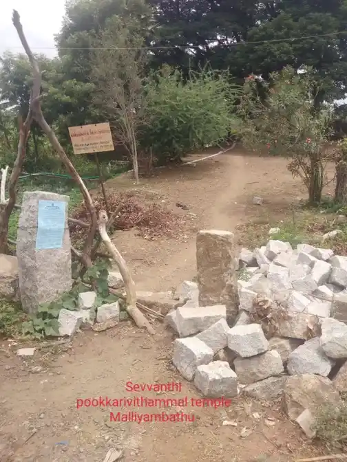 Arulmigu Sevvanthi Pookkari Vithalamman Temple, Malliampathu - 620102 Temple