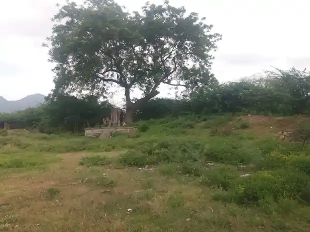 Arulmigu Sevvanthinathar Varatharajaperumal Temple, Pachaperumalpatti North - 621008 அருள்மிகு செவ்வந்திநாதர் திருக்கோயில், துறையூர் - 621008, Thiruchirappalli - Ancient Temple Architecture and History Image 3