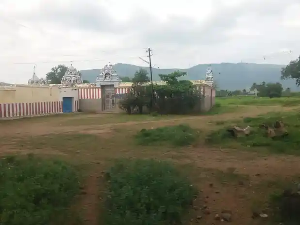 Arulmigu Sevvanthinathar Varatharajaperumal Temple, Pachaperumalpatti North - 621008 அருள்மிகு செவ்வந்திநாதர் திருக்கோயில், துறையூர் - 621008, Thiruchirappalli - Ancient Temple Architecture and History Image 11