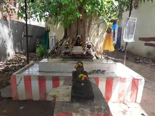 Arulmigu Shanmuganathasuwamy Temple, Paramakudi - 623707 Arulmigu Shanmuganathasuwamy Temple, Paramakudi - 623707, Ramanathapuram - Ancient Temple Architecture and History Image 2