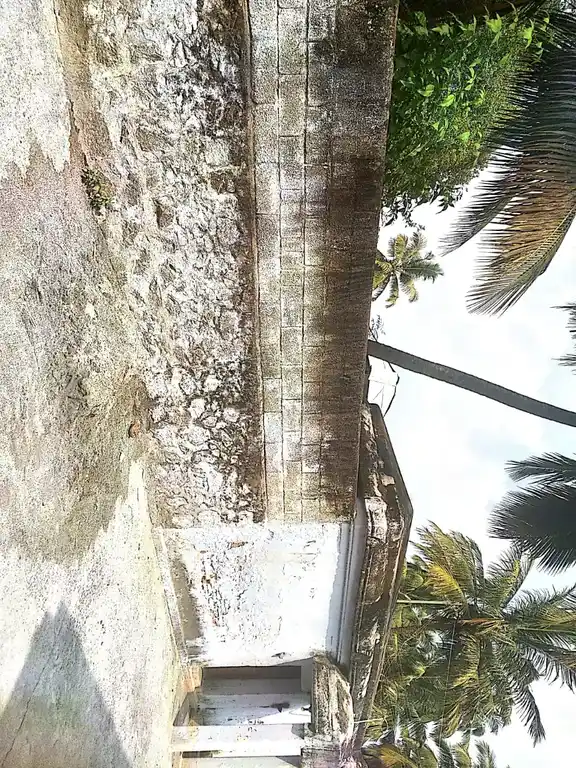 Arulmigu Shethrabalasamy Temple, Near Pond, Therisanamkoppu - 629851 அருள்மிகு ஷேத்றபாலசாமி திருக்கோயில், Near Pond, Therisanamkoppu - 629851, Kanyakumari - Ancient Temple Architecture and History Image 4