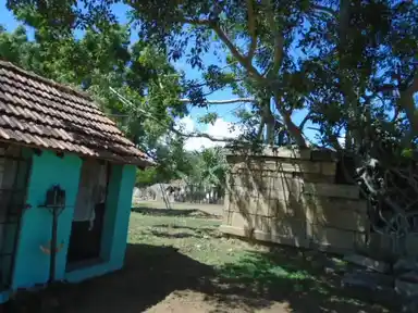 Arulmigu Sidambareswarar Temple, Thaazhanur - 614621 Arulmigu Sidambareswarar Temple, Thaazhanur - 614621, Pudukkottai - Ancient Temple Architecture and History Image 4