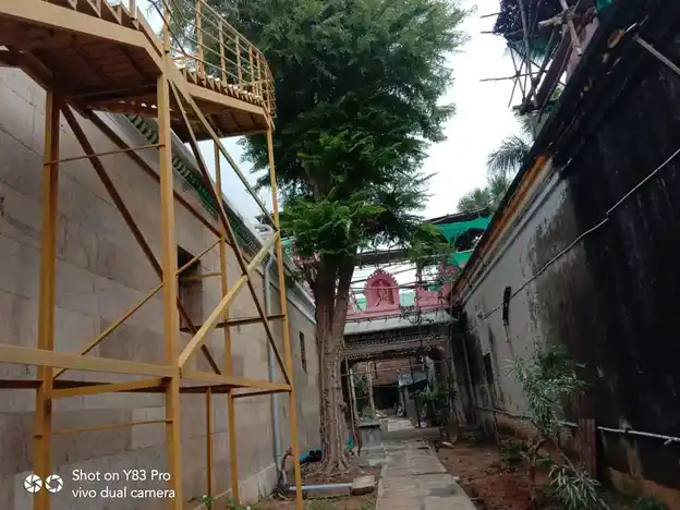 Arulmigu Sidampareshwarar Temple, Nachandupatti - 622404 அருள்மிகு சிதம்பரேசுவரர் திருக்கோயில், நச்சாந்துப்பட்டி - 622404, Pudukkottai - Ancient Temple Architecture and History Image 9