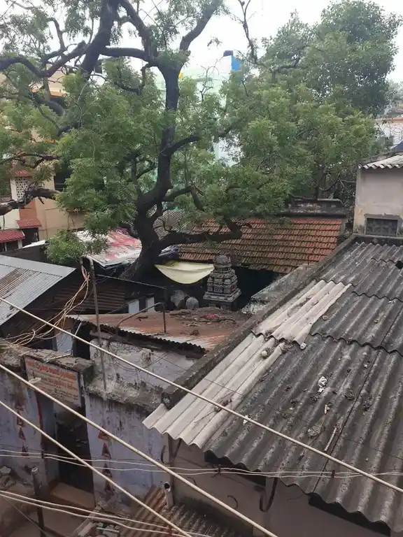 Arulmigu Siddhanathaswamy Temple, Madurai - 625001 அருள்மிகு சித்தநாதசுவாமி திருக்கோயில், மதுரை - 625001, Madurai - Ancient Temple Architecture and History Image 7