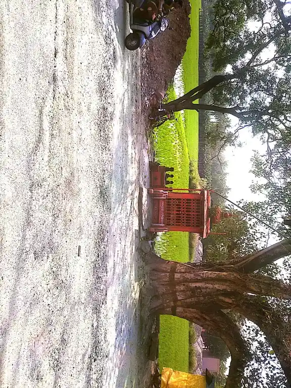 Arulmigu Siddhi Vainayagar Temple, Near Ayurvedic Hospital, Therisanamkoppu - 629851 அருள்மிகு சித்திவிநாயகர் திருக்கோயில், Near Ayurvedic Hospital, Therisanamkoppu - 629851, Kanyakumari - Ancient Temple Architecture and History Image 3