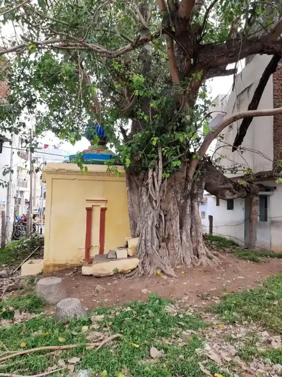 Arulmigu Siddhi Vinayagar Temple, Gandhipark, Coimbatore - 641001 அருள்மிகு சித்தி விநாயகர் திருக்கோயில், Gandhipark, Coimbatore - 641001, Coimbatore - Ancient Temple Architecture and History Image 3