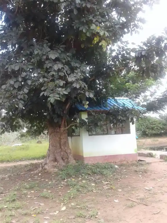 Arulmigu Siddhi Vinayagar Temple, Kuruvikkarambai - 614802 அருள்மிகு சித்திவிநாயகர் திருக்கோயில், குருவிக்கரம்பை - 614802, Thanjavur - Ancient Temple Architecture and History Image 2