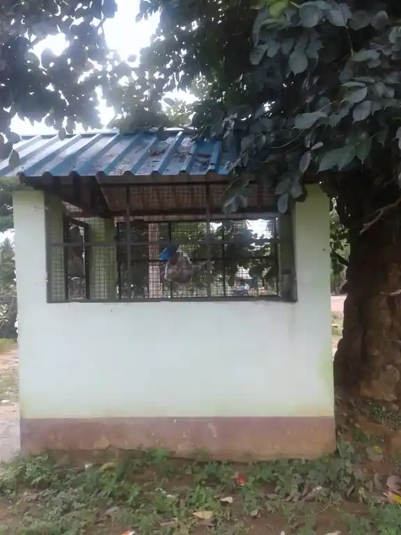 Arulmigu Siddhi Vinayagar Temple, Kuruvikkarambai - 614802 அருள்மிகு சித்திவிநாயகர் திருக்கோயில், குருவிக்கரம்பை - 614802, Thanjavur - Ancient Temple Architecture and History Image 4