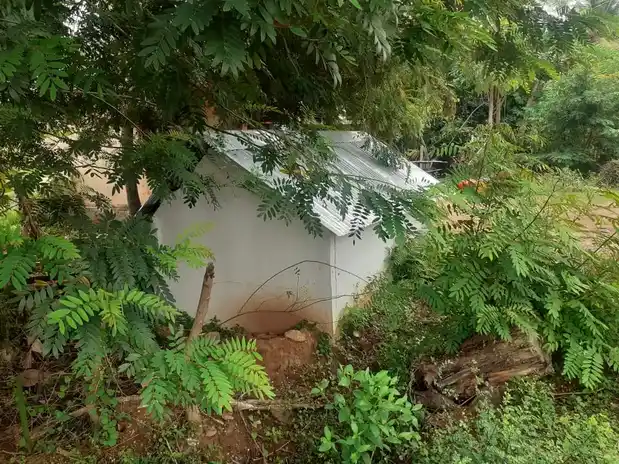 Arulmigu Siddhi Vinayagar Temple, Veppangadu - 614601 Arulmigu Siddhi Vinayagar Temple, Veppangadu - 614601, Thanjavur - Ancient Temple Architecture and History Image 3