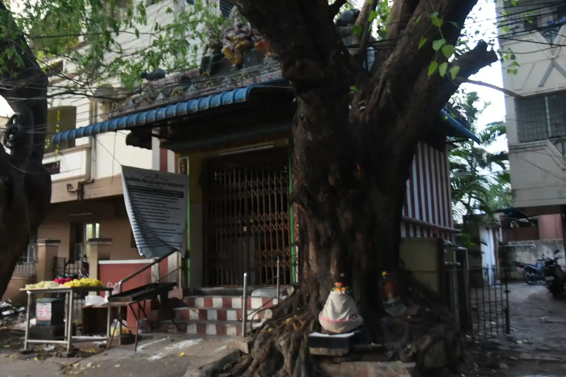 Arulmigu Siddi Puthi Vinayagar Temple, Abiramapuram, Mylapore, Chennai - 600018 அருள்மிகு சித்தி புத்தி விநாயகர் திருக்கோயில், அபிராமபுரம், மயிலாப்பூர், சென்னை - 600018, Chennai - Ancient Temple Architecture and History Image 4