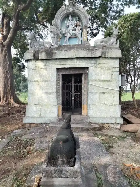 Arulmigu Sidhambareshwarar Temple, Kaatusellur - 607204 அருள்மிகு சிதம்பரேஸ்வரர் திருக்கோயில், Kaatusellur - 607204, Kallakurichi - Ancient Temple Architecture and History Image 3